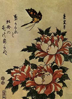Arthropods: Peony and Butterfly
