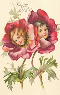 Marcellus: Peony Flower Faces