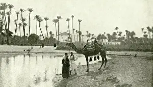 Waterside: People with camel by the waterside, Sakkara, Egypt
