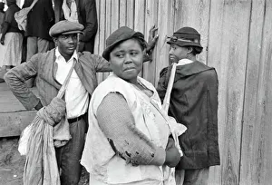 Pulaski: People, cotton, occupations, agriculture