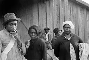 Pulaski: people - cotton pickers - agricultural workers