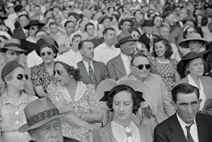 Sulky: People - Crowd - Spectators - Stadium