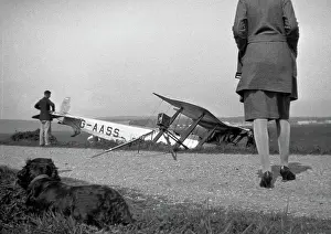 Walkies: People and dog with crashed biplane