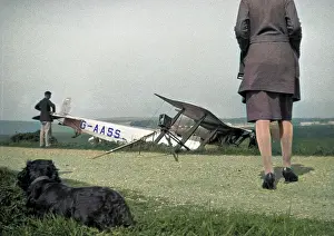 Walkies: People and dog with crashed biplane