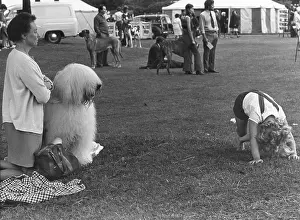 Shaggy: People at a dog show in a park
