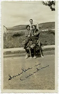 Harness: Three people with two dogs in Canada