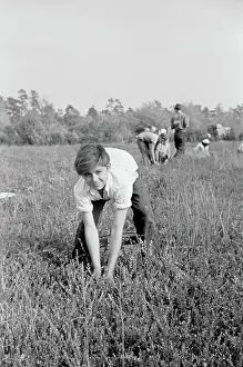 Cranberry: People - Farm - Occupations - Agriculture