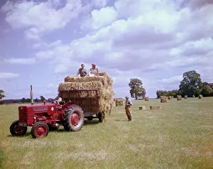 Farmhands: People in a field at harvest time with tractor