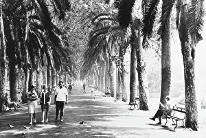 Malaga: People going for a stroll in Malaga, Spain