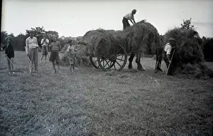 Carts: People haymaking