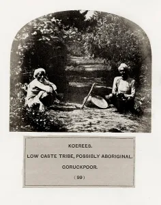 Aboriginal: People of India, indigenous tribe: Korees, low cast tribe