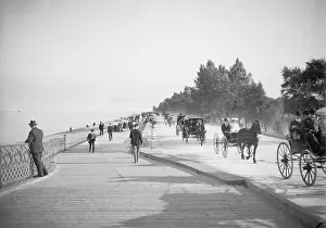 Buggies: People - Lake Shore Drive - Chicago