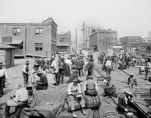 Jacksonville: People - occupations - docks - Jacksonville