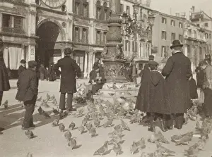 Plazas: People and pigeons on St. Mark's Square in Venice