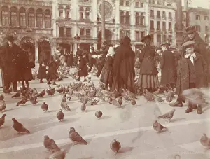 Plazas: People and pigeons on St. Mark's Square in Venice