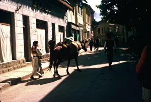 Ponies: People with ponies and sacks, Yugoslavia