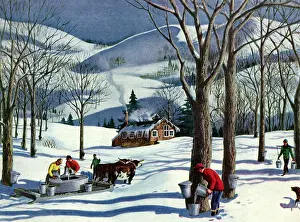 Syrup: People Tapping Syrup