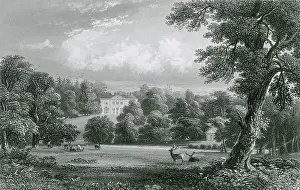 Peper: Peper Harow, Surrey