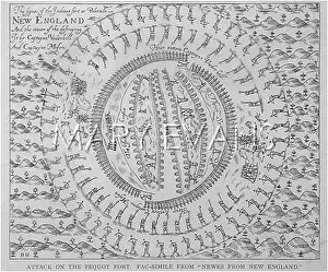 Palisade: THE PEQUOD WARS