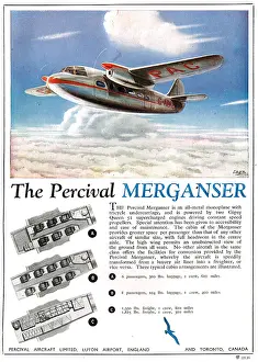 Merganser: Percival Merganser