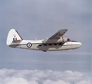 P.66: Percival P-66 Pembroke C-1
