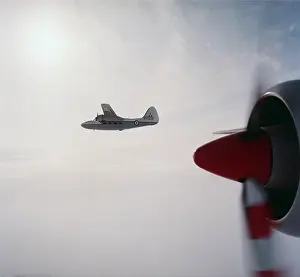 P.66: Percival P-66 Pembroke C-1
