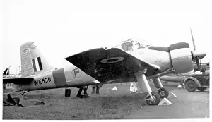 Cheetah: Percival P.56 Mk.1 WE530