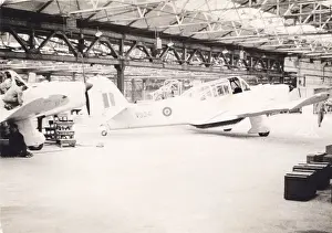 Prentice: Percival Prentice T1, VS241