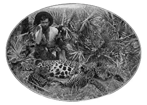Fawcett: Percy H Fawcett, British explorer