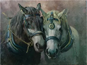 Partnership: Perfect Partnership ' Two Bridled Horse