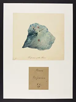 Perforation: Perforation of the Pleura