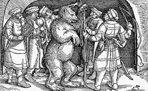 Dace: PERFORMING BEAR, GERMANY