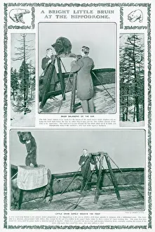 Oct19: Performing bear at the London Hippodrome