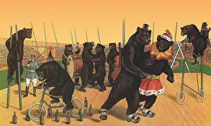 Tricks: Performing Bears