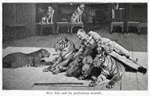 Cheater: Performing cats 1903