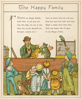 Cages: Performing Cats