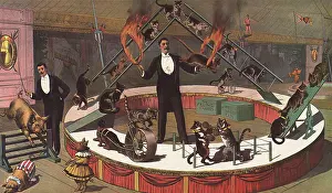 Flaming: Performing Cats