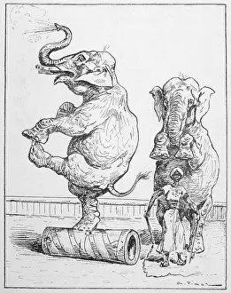 Circuses: Performing circus elephants