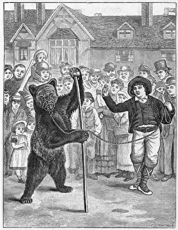 Keeper: The Performing Dancing Bear