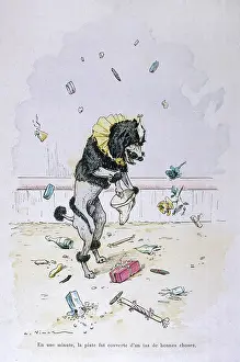 Circuses: Performing dog at the circus