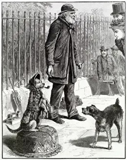 Highgate: Performing Dog in Highgate 1895