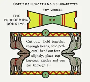 Ellam: Performing donkeys