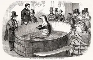 May25: The performing fish exhibited in London