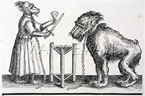 Baboons: PERFORMING MONKEYS/1625