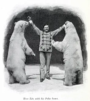 Litz: Performing polar bears 1903