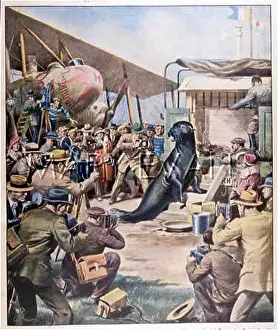 Consents: PERFORMING SEAL 1934