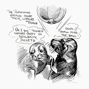 Oct19: Performing seals at the London Hippodrome