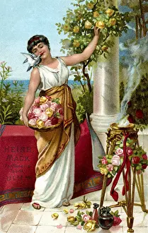 Pluck: Perfume advert