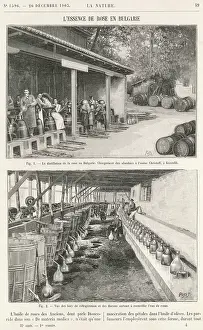 Perfumes: The perfume industry in Bulgaria