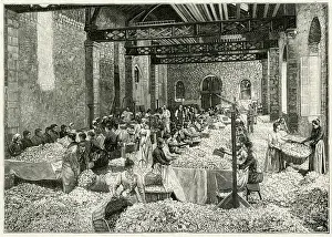 Grasse: Perfume Manufacture - 1898
